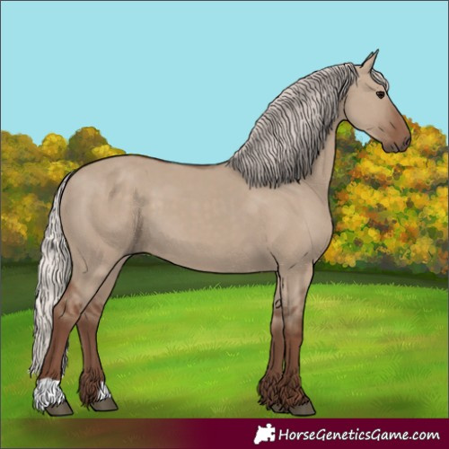 Horse Color:Silver Grullo 