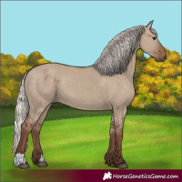 Horse Color:Silver Grullo 