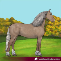 Horse Color:Silver Grullo 