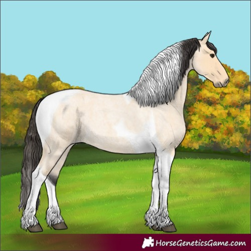 Horse Color:Buckskin Roan Tobiano 