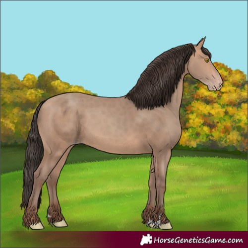 Horse Color:Amber Champagne