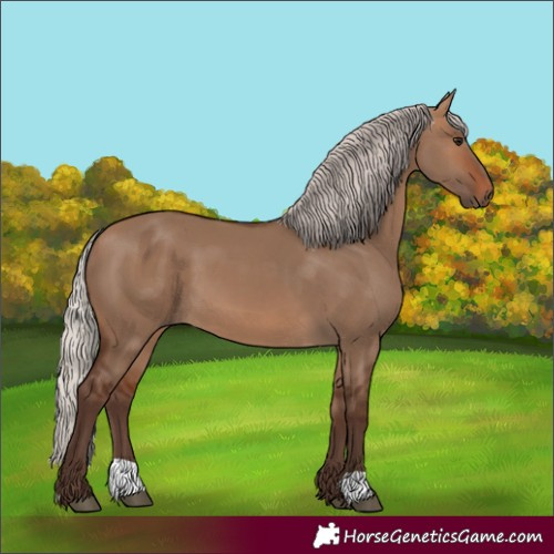 Horse Color:Silver Brown Dun
