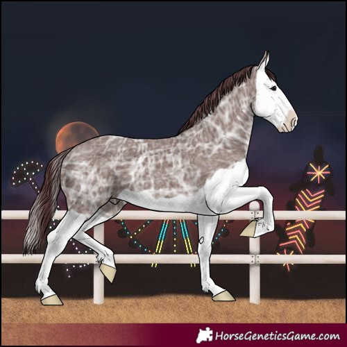 Horse Color:Chocolate Grullo Ice Splash