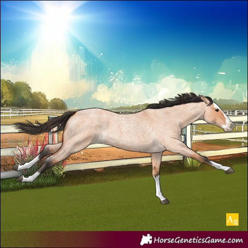 Horse Color:Unknown