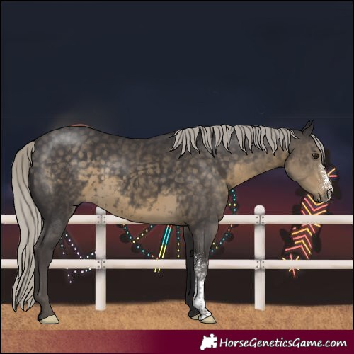 Horse Color:Silver Smoky Black Sabino