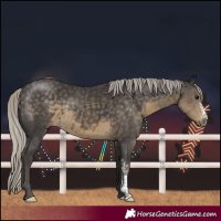 Horse Color:Silver Smoky Black Sabino 