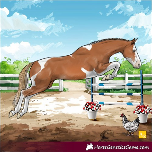 Horse Color:Chestnut Splash Tobiano 