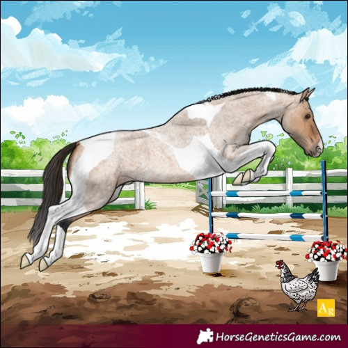 Horse Color:Bay Roan Dun Tobiano