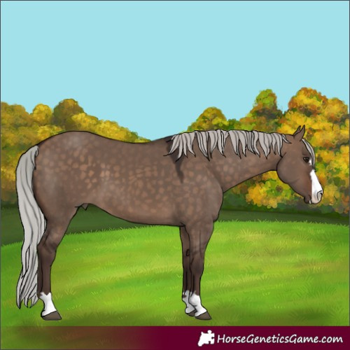 Horse Color:Silver Bay Dun