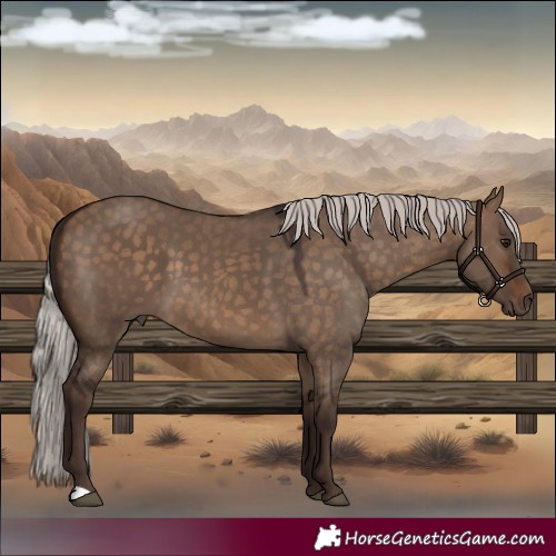 Horse Color:Silver Bay Dun