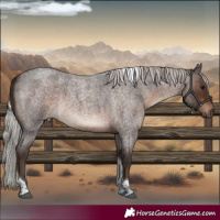 Horse Color:Silver Brown Roan Tobiano