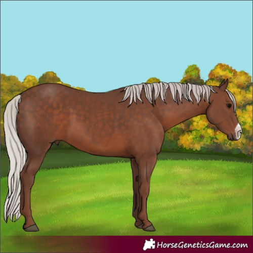Horse Color:Silver Black Frame