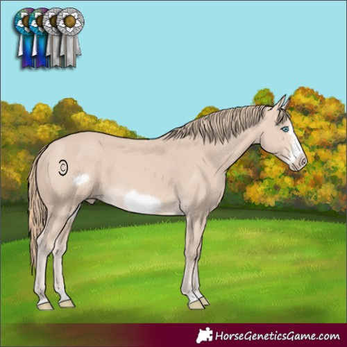 Horse Color:Perlino Frame 