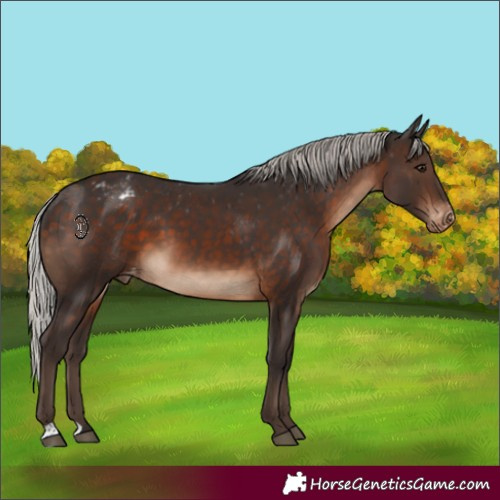Horse Color:Silver Brown Varnish 