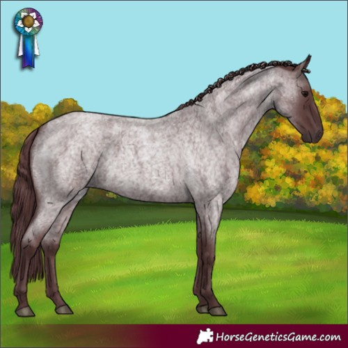 Horse Color:Chocolate Blue Roan