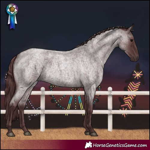 Horse Color:Chocolate Blue Roan