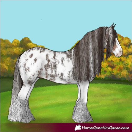 Horse Color:Liver Chestnut Sabino Splash Blanket  and Liver Chestnut Sabino Splash Blanket 
