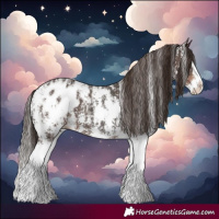 Horse Color:Liver Chestnut Sabino Splash Blanket  and Liver Chestnut Sabino Splash Blanket 