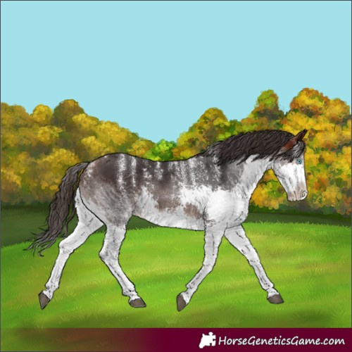 Horse Color:Powder White Brown Splash