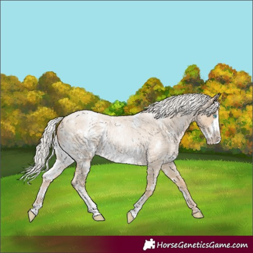 Horse Color:White Spotted Silver Brown Roan Snowdrop Pearl Frame 