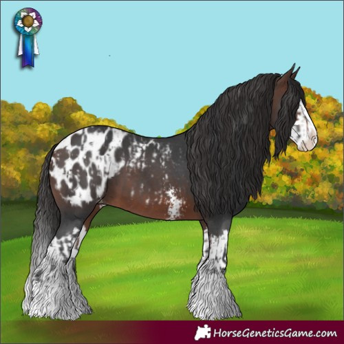 Horse Color:Brown Sabino Splash Blanket  and Brown Sabino Splash Blanket 