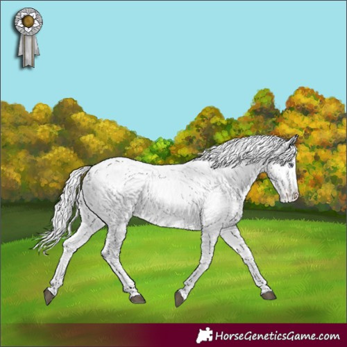 Horse Color:White Spotted Liver Red Dun Chinchilla Appaloosa 