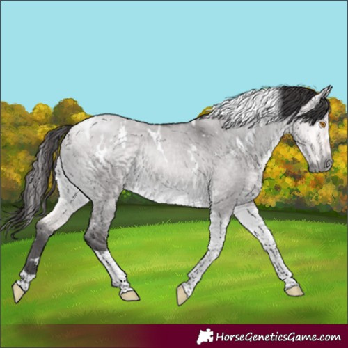 Horse Color:Platinum White Spotted Buckskin Dun Tobiano Rabicano