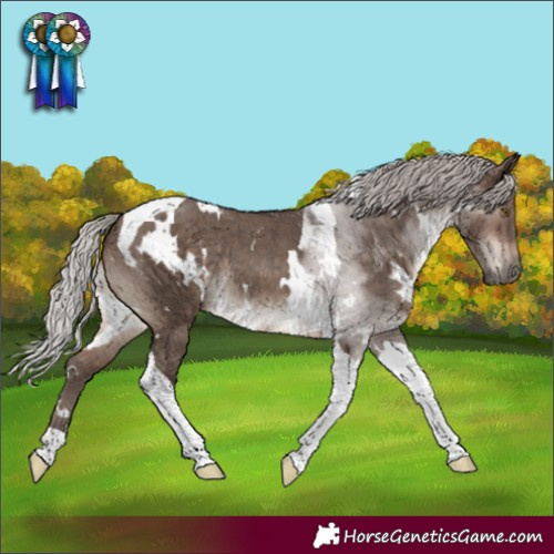 Horse Color:White Spotted Silver Brown Dun Mushroom Tobiano Rabicano Brindle 