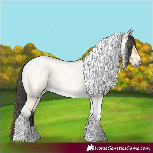 Horse Color:Buckskin Roan Dun Tobiano 