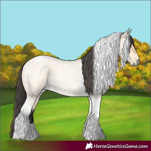 Horse Color:Buckskin Roan Dun Tobiano