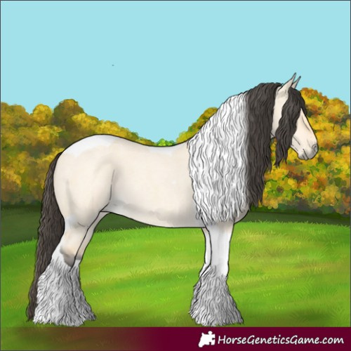 Horse Color:Buckskin Roan Dun Tobiano