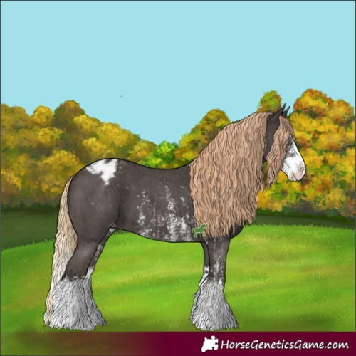 Horse Color:Liver Chestnut Sabino Splash Appaloosa and Liver Chestnut Sabino Splash Appaloosa