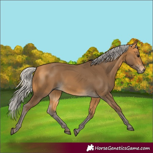 Horse Color:Silver Buckskin