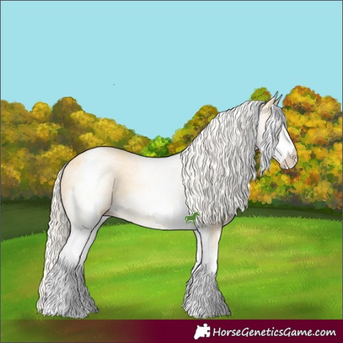 Horse Color:White Spotted Gold Cream Champagne