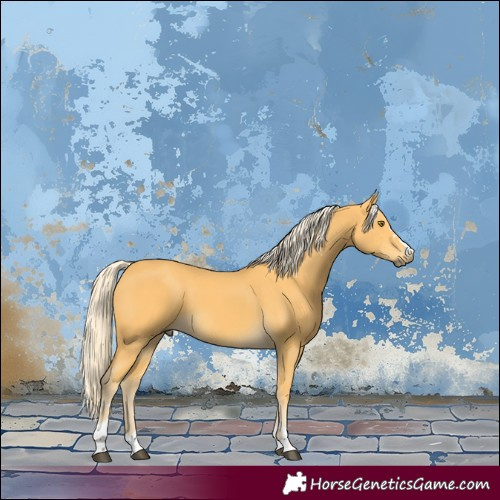 Horse Color:Palomino
