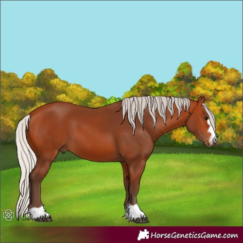 Horse Color:Silver Bay