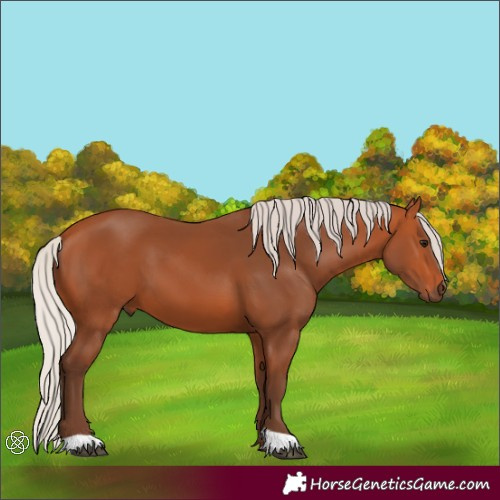 Horse Color:Silver Bay