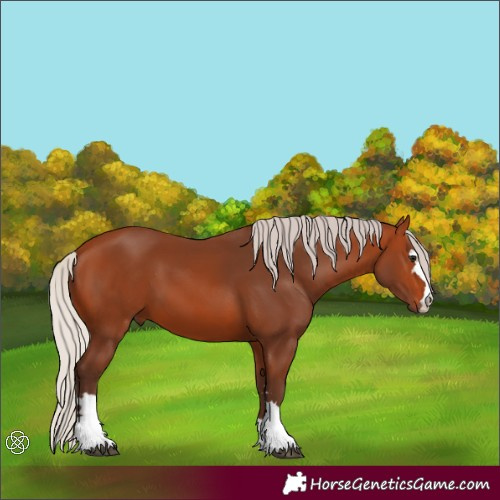 Horse Color:Silver Bay