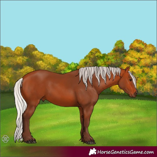 Horse Color:Silver Bay