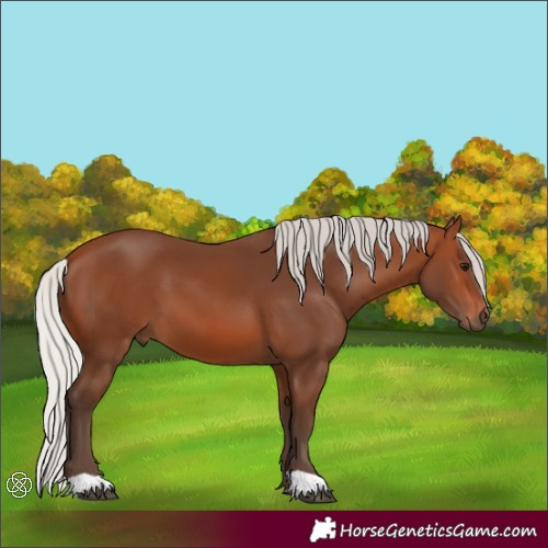 Horse Color:Silver Brown