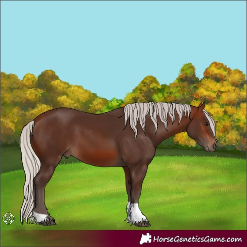 Horse Color:Silver Brown