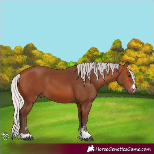 Horse Color:Silver Bay