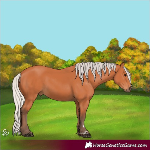Horse Color:Silver Bay