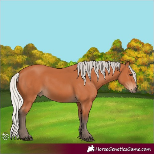 Horse Color:Silver Bay