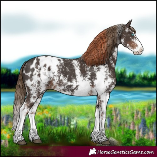 Horse Color:Liver Chestnut Sabino Splash Blanket and Liver Chestnut Sabino Splash Blanket