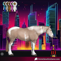 Horse Color:Black Pearl Mushroom Sabino Tobiano 