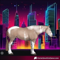 Horse Color:Black Pearl Mushroom Sabino Tobiano