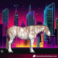 Horse Color:Black Pearl Mushroom Sabino