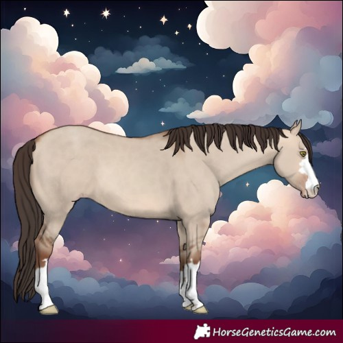 Horse Color:Amber Champagne Dun 