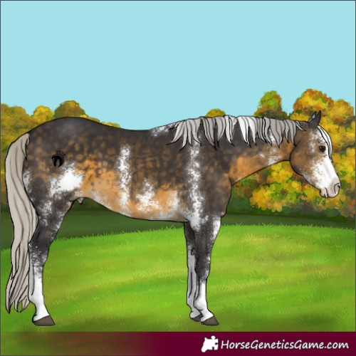 Horse Color:Silver Buckskin Sabino